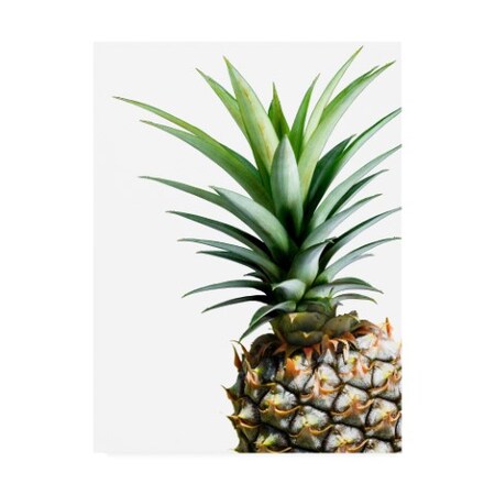 Trademark Fine Art Lexie Greer 'Pineapple (color)' Canvas Art, 24x32 IC00713-C2432GG